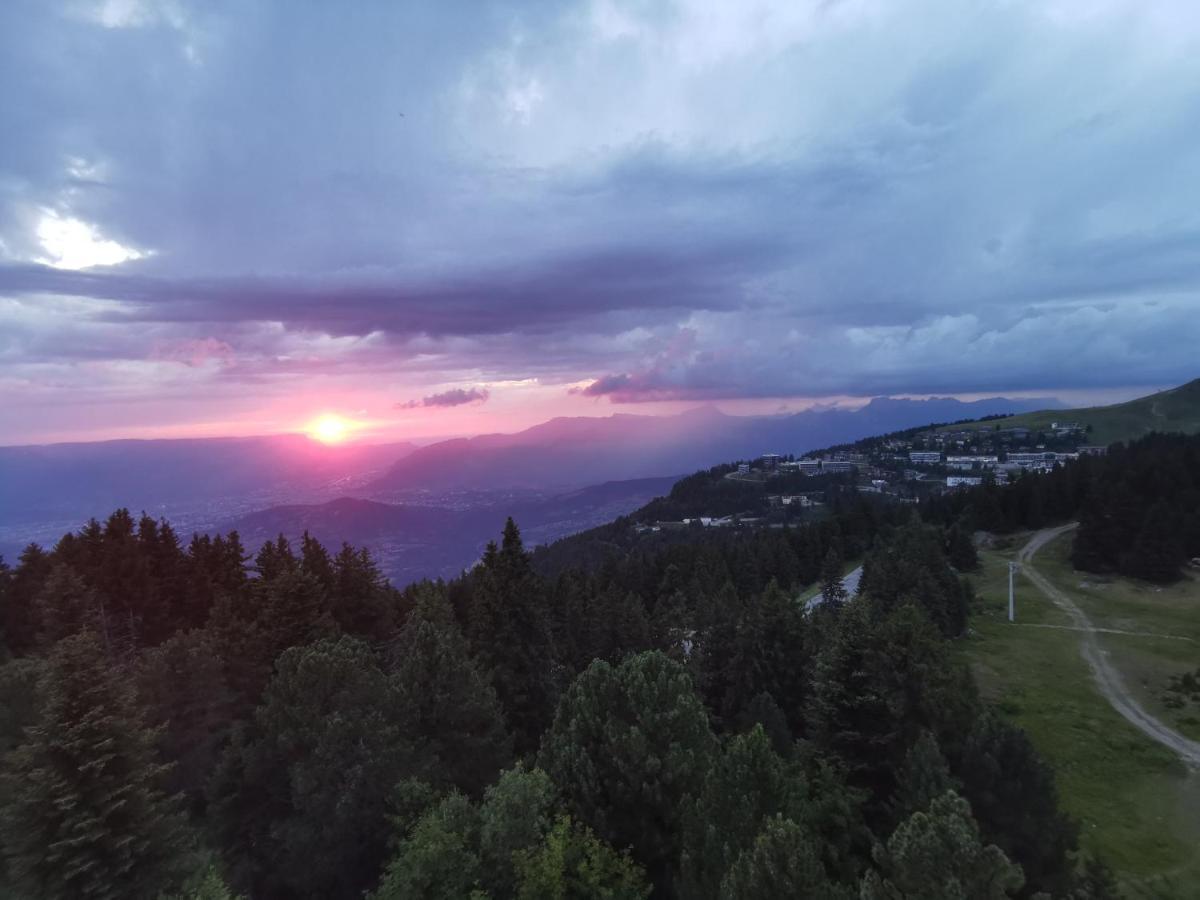 Edelweiss Vue Sur Recoin La Croix De Grenoble