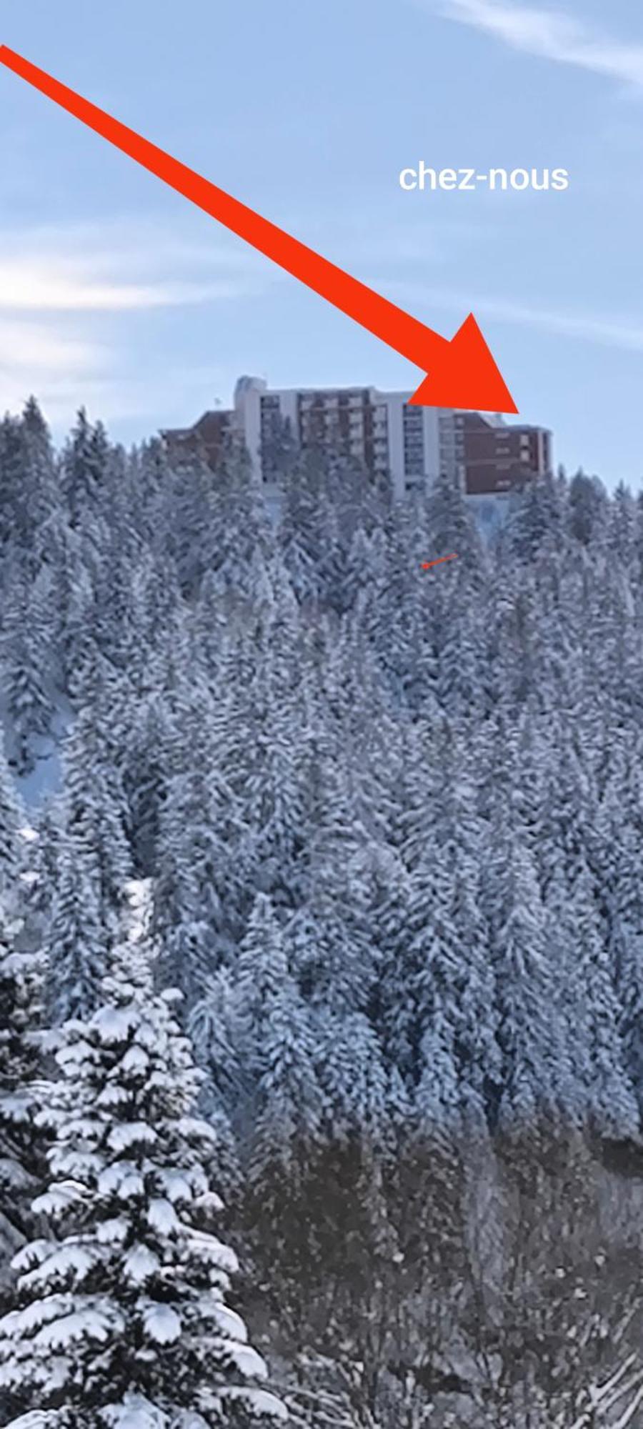 Edelweiss Vue Sur Recoin La Croix De Grenoble *